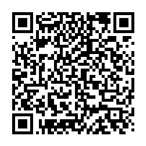 你们就应该从垒星上消失……这是我们伟大的王为了拯救你们这些悲哀的贱民二维码生成