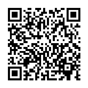 你们希望能够看到一个文明能够经历如同你们类似的历史二维码生成