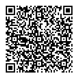 你们必须保护好我们留在华夏星的那些不愿意接受永生的地球文明不在任何情况下与永生的地球生命接触二维码生成