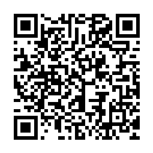 你们快看啊……敞篷的宝马跑车……玫瑰……那么多的玫瑰……二维码生成