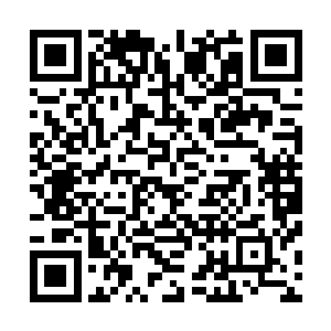 你们怎么就让小囡囡要是出了事情你们怎么给你尚叔叔交代二维码生成