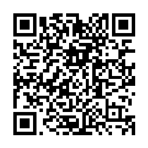 你们恒阳集团难道还有能力继续支持这个项目的后续研究二维码生成