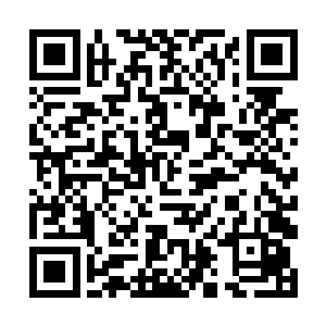你们打算从这个大篮子里随便拿一些回去糊弄老子娘二维码生成