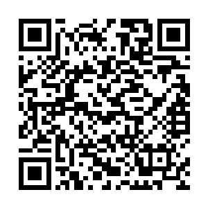 你们是跟着我一起在莲花台上修炼还是在黑风无底洞呢二维码生成