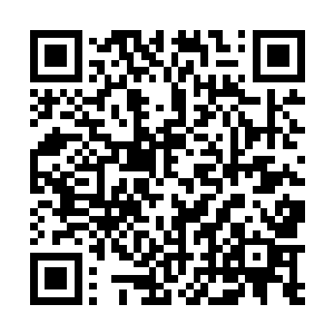 你们有什么证据说三叶天龙珠果是你们从万蛮山中所得二维码生成