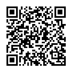 你们有没有注意到它的身体和气势比刚才有所增加吗二维码生成