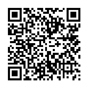 你们杨家现在已经够惨了……就不要再火上浇油了好么二维码生成