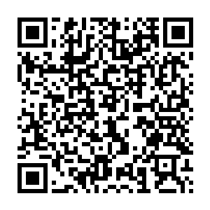 你们没有办法得到这圣地之中的宝物那只能说明你们的本事不够罢了二维码生成