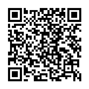 你们没有对壕境行使主权的证据……总之葡萄牙的殖民地二维码生成