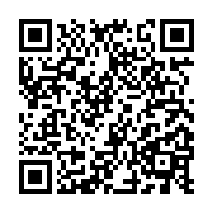 你们现在要前往的就是这条试炼之路的第一座城池二维码生成
