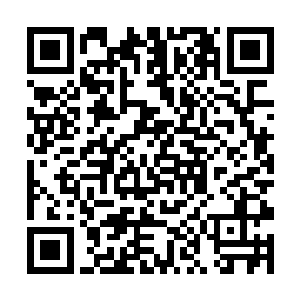 你们的五重地带惧是模拟镇魔塔里面的一些试炼场地二维码生成