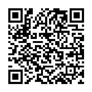 你们的情报都已经精确掌握人家的具体动向和命令了二维码生成
