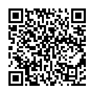 你们的确不是为了净化部队而培养普通净化者的遴选标准并不高二维码生成