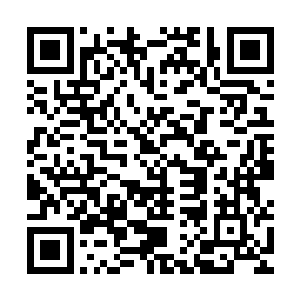 你们看不懂是因为秦大师和陆道长此刻都是使用了某种天罡步法二维码生成