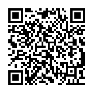 你们真的以为凭着你们两家的联盟能够抵挡住隐世大陆的怒火二维码生成