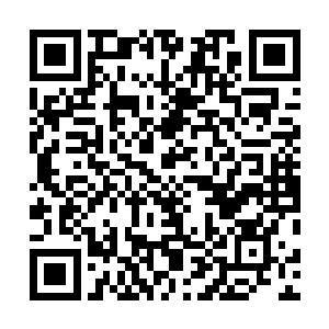 你们真的认为让梦幻海洋馆成为理事长是个正确的决定吗二维码生成