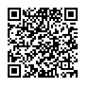 你们竟然把我们扔到一旁扔一个晚上有你们这样不负责的父母吗二维码生成