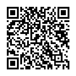 你们要完败我们这些人起码也得付出三分之一人死亡的代价二维码生成