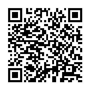 你们说……如果我用非常快的速度把他的头咬下来吞了……二维码生成