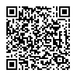 你们说的那些狗屁的凶兽是维护世界平衡的关键的理论对我根本没用二维码生成