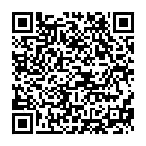 你们跑去跟着梅林打伏击战了……这里总要有人留下来保护威廉王吧二维码生成
