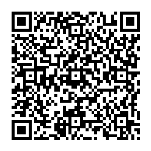 你们这个宇宙的法律是不是太松了一点……被捕那么多次你还能出来我也是醉了啊……二维码生成