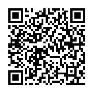 你们这些绷带都是开水煮过的……给你这点绷带你不要打开二维码生成