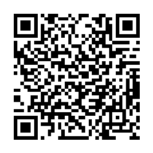 你们连个专业武器都没有的人也敢在大爷面前嚣张二维码生成