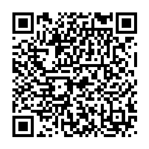 你们那位金燕姐估计是最近闹得沸沸扬扬的凌海市盗贼团伙里面的人二维码生成