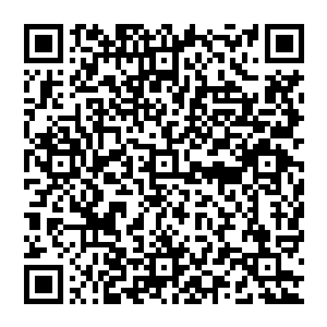 你们都各自好好修炼 将自己的状态调整在最巅峰 也许到最后 你们就会发现 这一切的真正原因 二维码生成