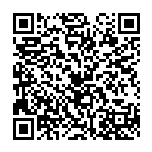 你作为一名在学院教授学生的骨器师为什么会对我九原的各大仓库二维码生成