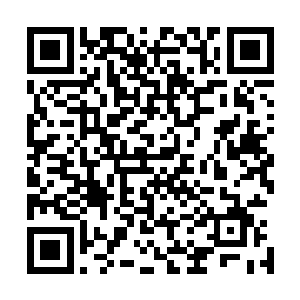 你作为万剑宗的弟子竟然和这些不三不四的散修勾结在一起二维码生成