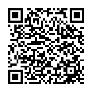 你作时候的线条太精了有很多应该是用小尖笔画的而你却没有二维码生成