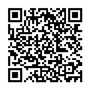 你依旧不过只是别人实验室里研究出來的小白鼠而已二维码生成