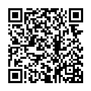 你便是我一个人说了算我要将你交给阿里处置便交给阿里处置二维码生成