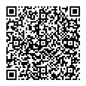 你修炼的宝贝 别装傻了 你修炼的时候产生的异像我们看得清清楚楚 若是你在装傻 可就别怪我亲自动手了 二维码生成