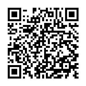 你先不用管阿姨……你自己先出去……马上找地方报警二维码生成