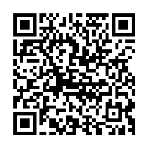 你其实可以以受伤者家属的名字去相关交通或警察部门去问问二维码生成