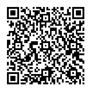 你其实更看中的是我刚刚在你身上施加的那种可以让你在关键时刻隐藏起来的秘法吧二维码生成