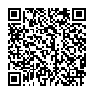 你兽神大陆已经违背了当年城主大人和天翼神虎定下的互不侵犯的约定二维码生成