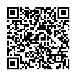 你再这样明年开春我就把你赶走了……你做什么总是看窗户二维码生成