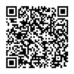 你凭什么要求我家师弟有百分之百的成功率能够看好你家徒儿的病二维码生成