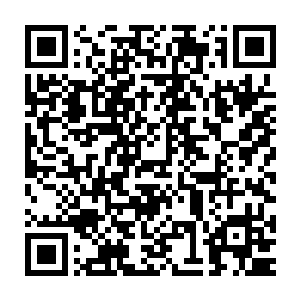 你刚刚不是说以你现在的能力已经可以跟一般的8阶强者抗衡了吗二维码生成