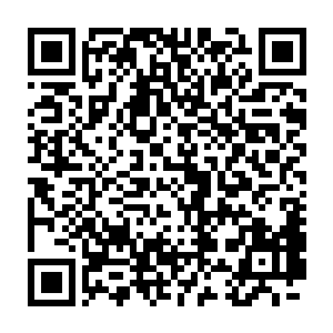 你刚才不是很牛掰的说就算是四大家族的人见了你也得给你三分面子吗二维码生成