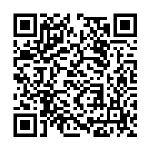 你刚才不是说很仰慕我们东方修士的历史和文化吗二维码生成