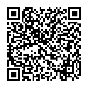 你刚才的时候不是说你以前的时候收服过一些魔兽现在已经开始修真了吗二维码生成