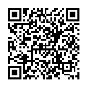 你刚说的欧美人举行的婚礼主题里有尼斯湖水怪的主题二维码生成