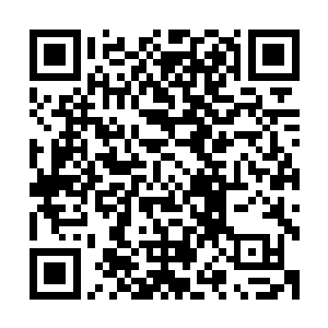 你删除了这一段记忆……包括把我对这个指令的记忆也删除了二维码生成