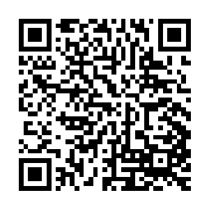 你别以为和一个蛇洞的洞主打过了就可以在我们面前耀武扬威了二维码生成