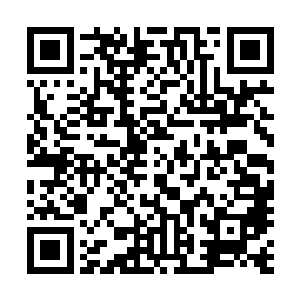 你别走……若是没有了你……我紫昕浩今生还有何欢乐可言二维码生成